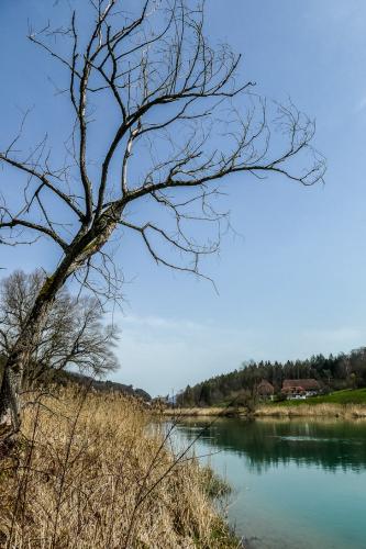 P1020425