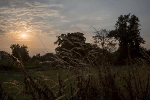 029  X1A5124-HDR