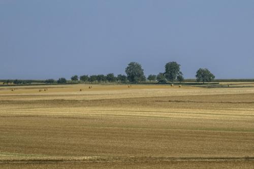 055 P1030168