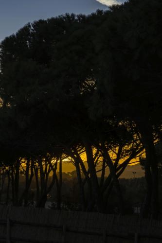 035  X1A5947-HDR