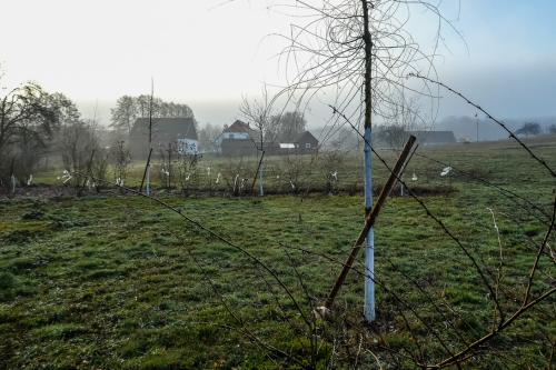 P1030557