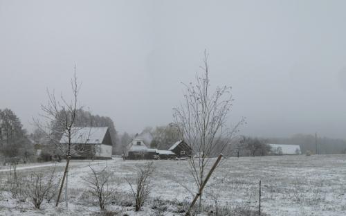 12 P1030726-Pano