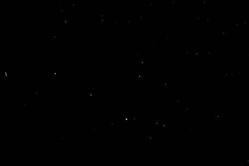 38  X1A9385