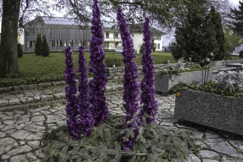 04  DSC0044-copy