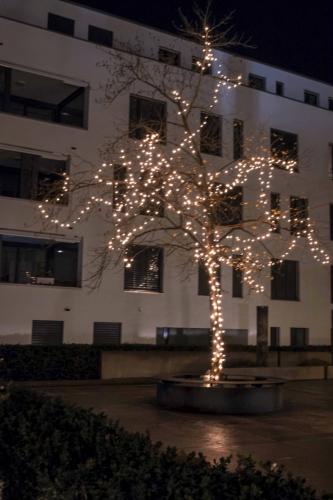02  DSC0058
