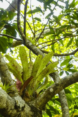 0040 P1040056