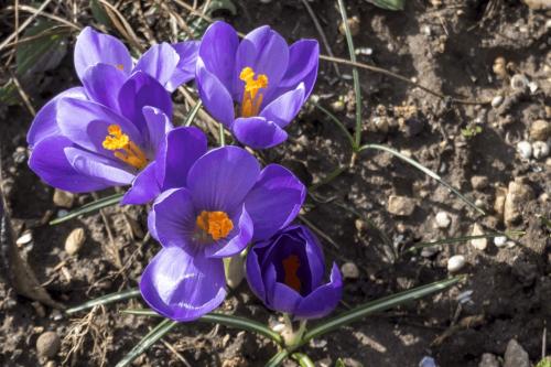 01  DSC0326