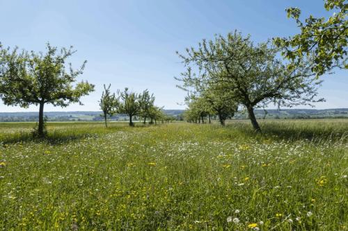 09  DSC0374