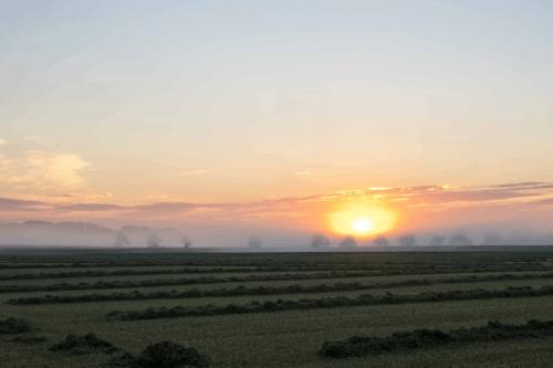 14  DSC0669