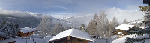 39Neues Panorama 2