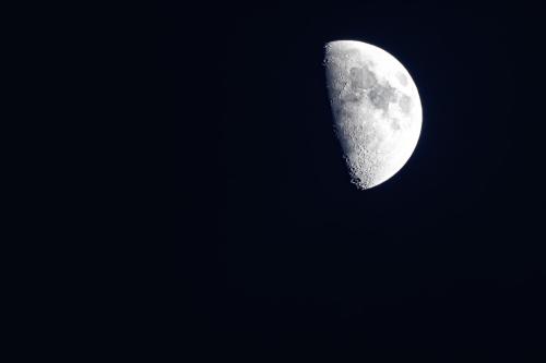 21 T4A0583 DxO
