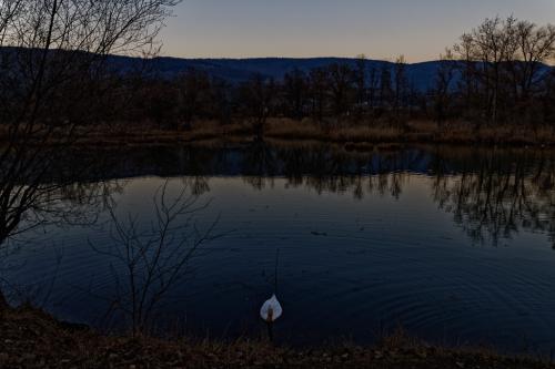 32 T4A0656 DxO