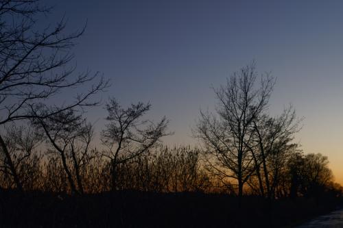 33 T4A0662 DxO