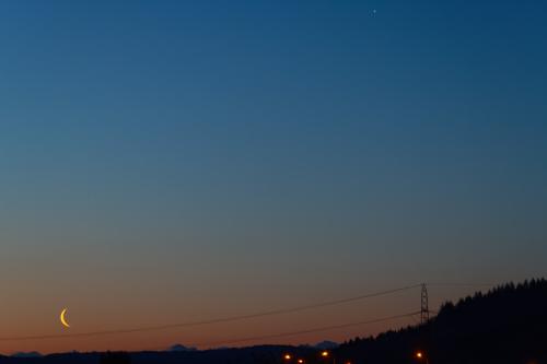 15 T4A1029 DxO