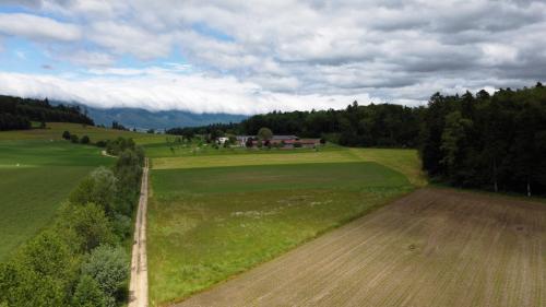 02DJI 0060 DxO