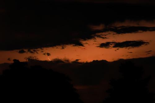 04 T4A1338 DxO