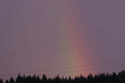 12 T4A1445 DxO