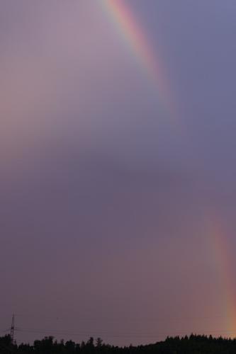 13 T4A1446 DxO