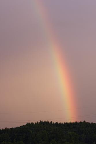 16 T4A1455 DxO