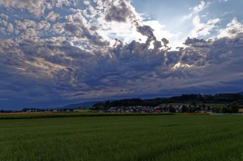 03 T4A1468 DxO