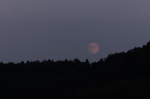 10 T4A1507 DxO