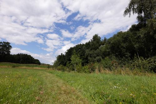 15 T4A1529 DxO