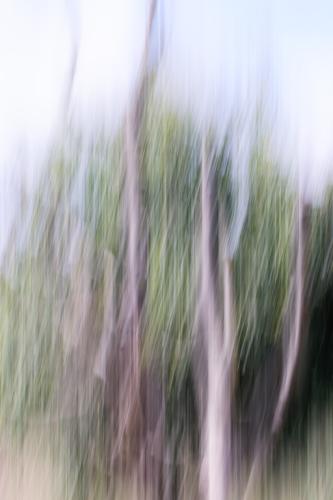 36 T4A1632 DxO