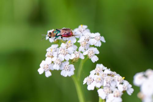 01 T4A1710 DxO
