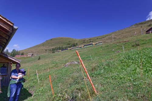 27 T4A1928 DxO