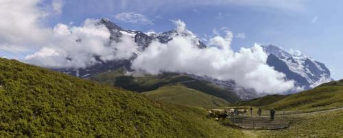 0013  T4A2240 DxO-Pano