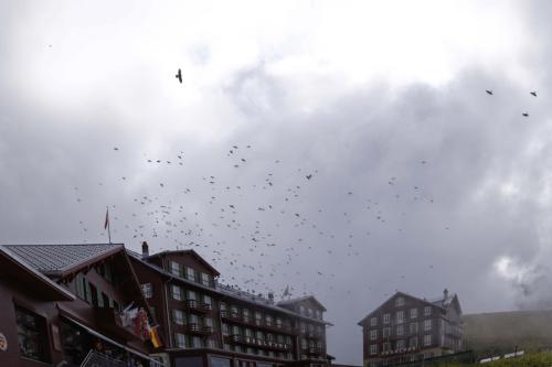 0020  T4A2575 DxO