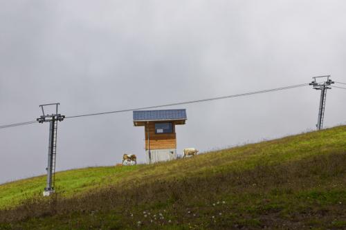 0024  T4A2604 DxO