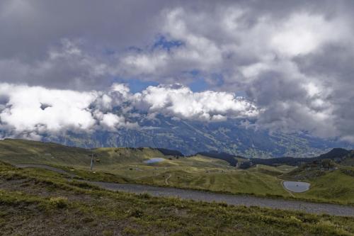 0025  T4A2607 DxO