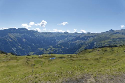 0065  DSC1266 DxO