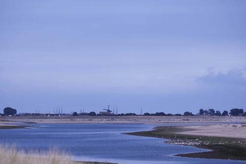 019  T4A5616 DxO