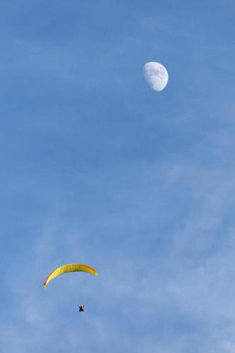 12 2301  DSC2768 DxO