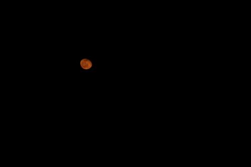 03 2302  X1A2928 DxO