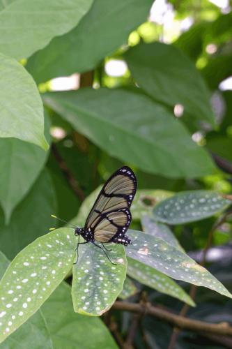 28 2305  DSC3040 DxO