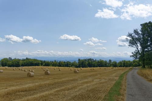 30 2307  DSC3300 DxO