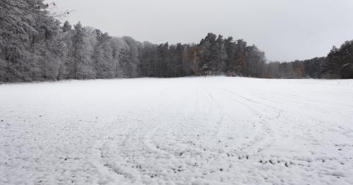 Park Schlamau