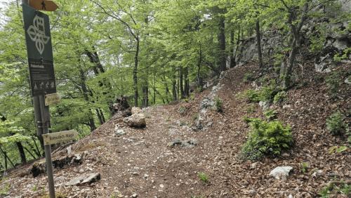 09 2405 20240501 164110 DxO
