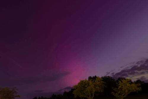 18 2405  T4A3140 DxO