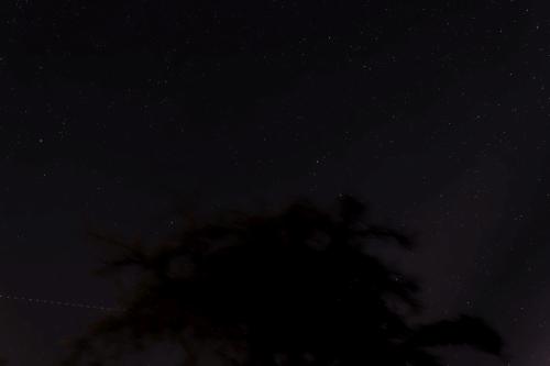 29 2405  T4A3154 DxO