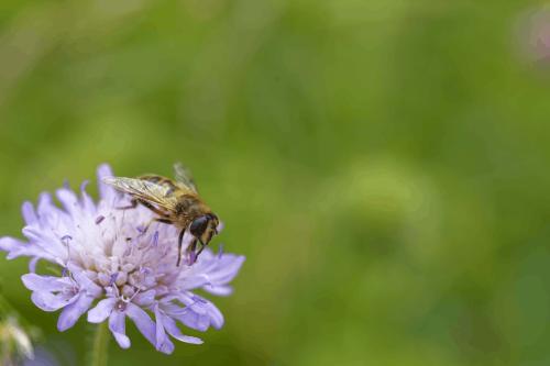 0011  T4A3835 DxO