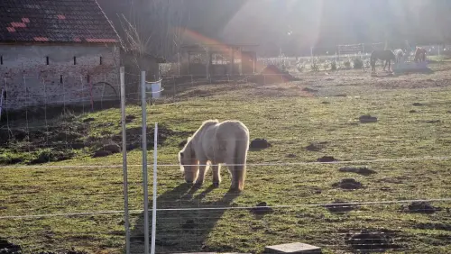 18 20250201 151754