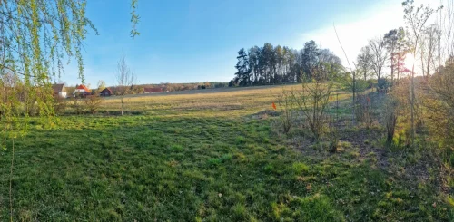 01120250412 185317