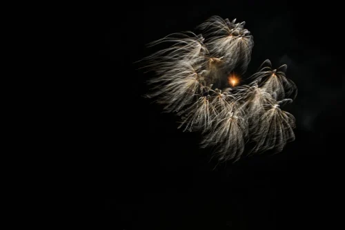 013  5II0265