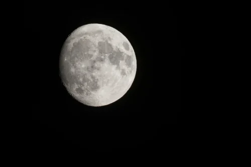 021  5II0317