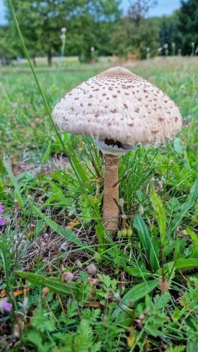 013 20250926 183628