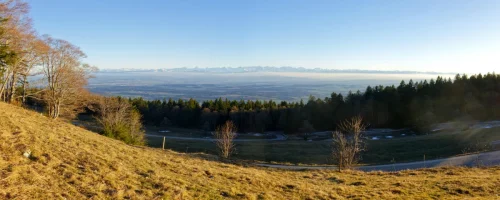 016  DSC6478Panorama